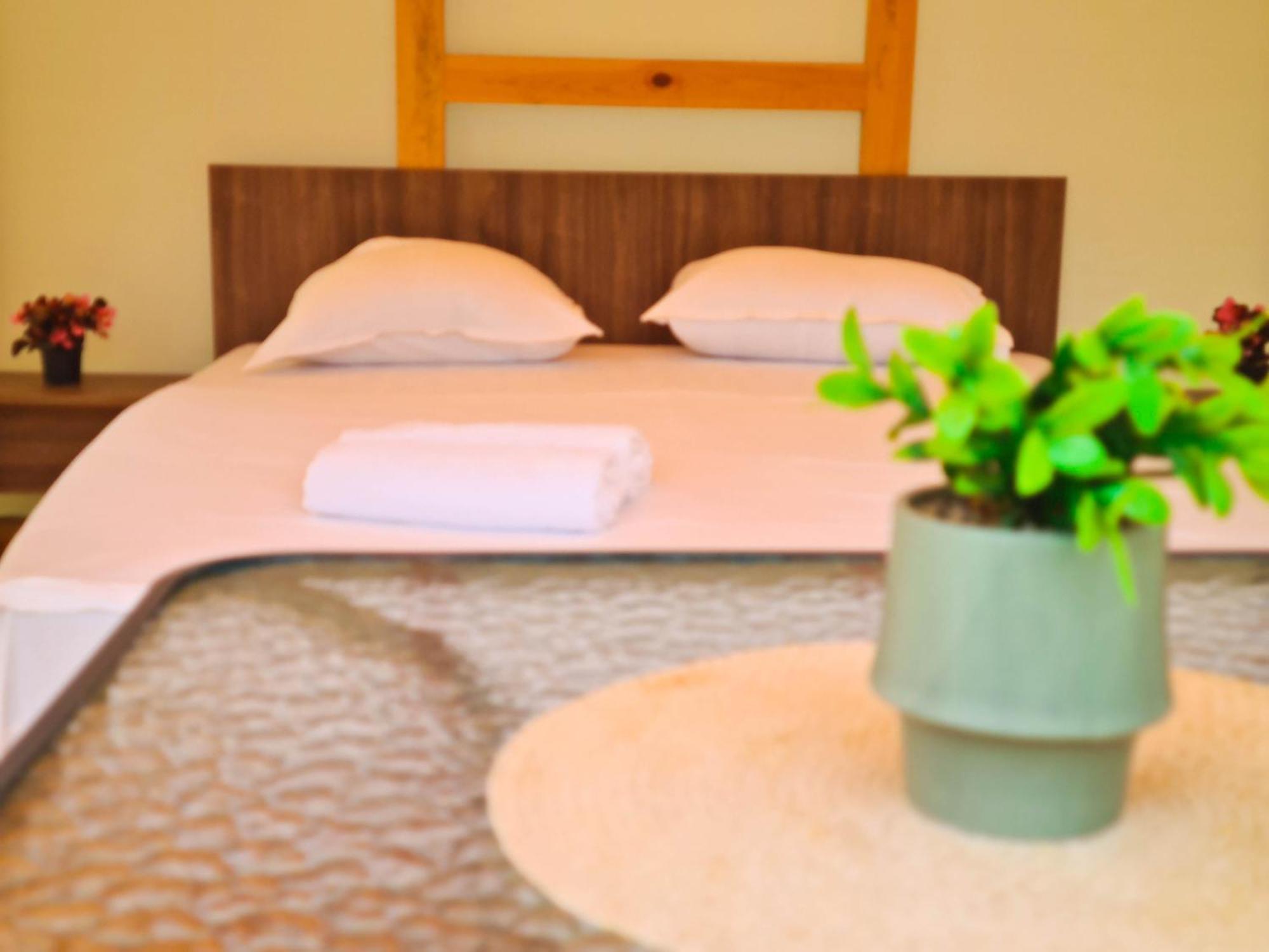 Camping Saint George Topola Kültér fotó
